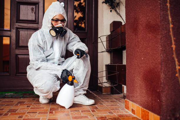 Reliable Wasp Removal contractor in Fayetteville, AR by Show Me Pest Control